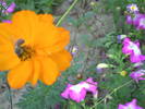 PICT0093