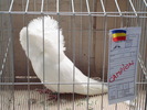 DSC04898