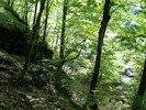 DSCF5360