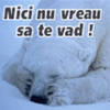 nici+nu+vreau+sa+te+vad