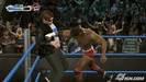 wwe-smackdown-vs-raw-2009-20081028032547793_640w