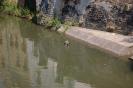 Resize of DSC_0282
