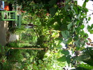 DSCI0244