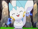pachirisu5
