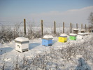 IMG_0031 (4)