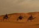 mummy_picture_043_i