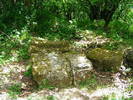 DSCF0580