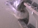 DSC00064