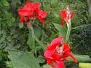 Picture 027