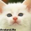avatar_18[2]