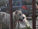 poze 01.05.2009 139