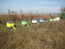IMG_0007 (4)