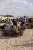 Tunisia_358