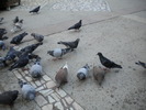 DSCN0151