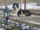 Fotografii-0021