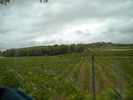 DSCN1600