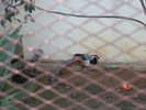 IMG_0158