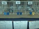 expo-fcpr-2008-14.