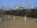 2009_04120061