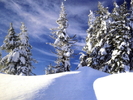 Christmas Wallpapers (634)