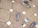 P9040125