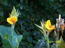 100_8159