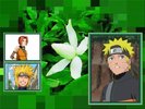 minato kushina si naruto