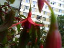 28-07-08_082519