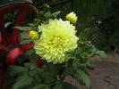 Picture 027