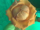 Imag087