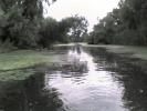 DSC01660