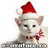 avatare_gratuite_732065170475ec3d14a19b6.21948719