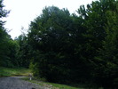 DSCF5423