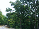 DSCF5435