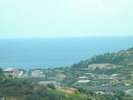 DSCN2469