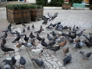 DSCN0144
