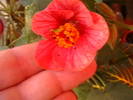 Picture 007
