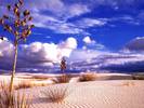 desert-landscape-wallpaper