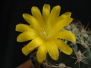 DSC00578