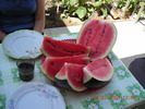 DSCN7282