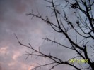 100_7945
