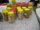 DSCN3177