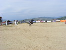 Picture 047