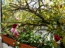 oct. 2009