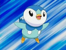 Pipluup!!!