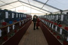 EXPO-PAS Suceava 2009