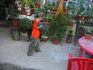 Picture 070