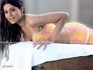 Shamita_Shetty_1256003507_0