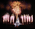 walt-disney-world2