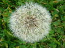 DSC00376